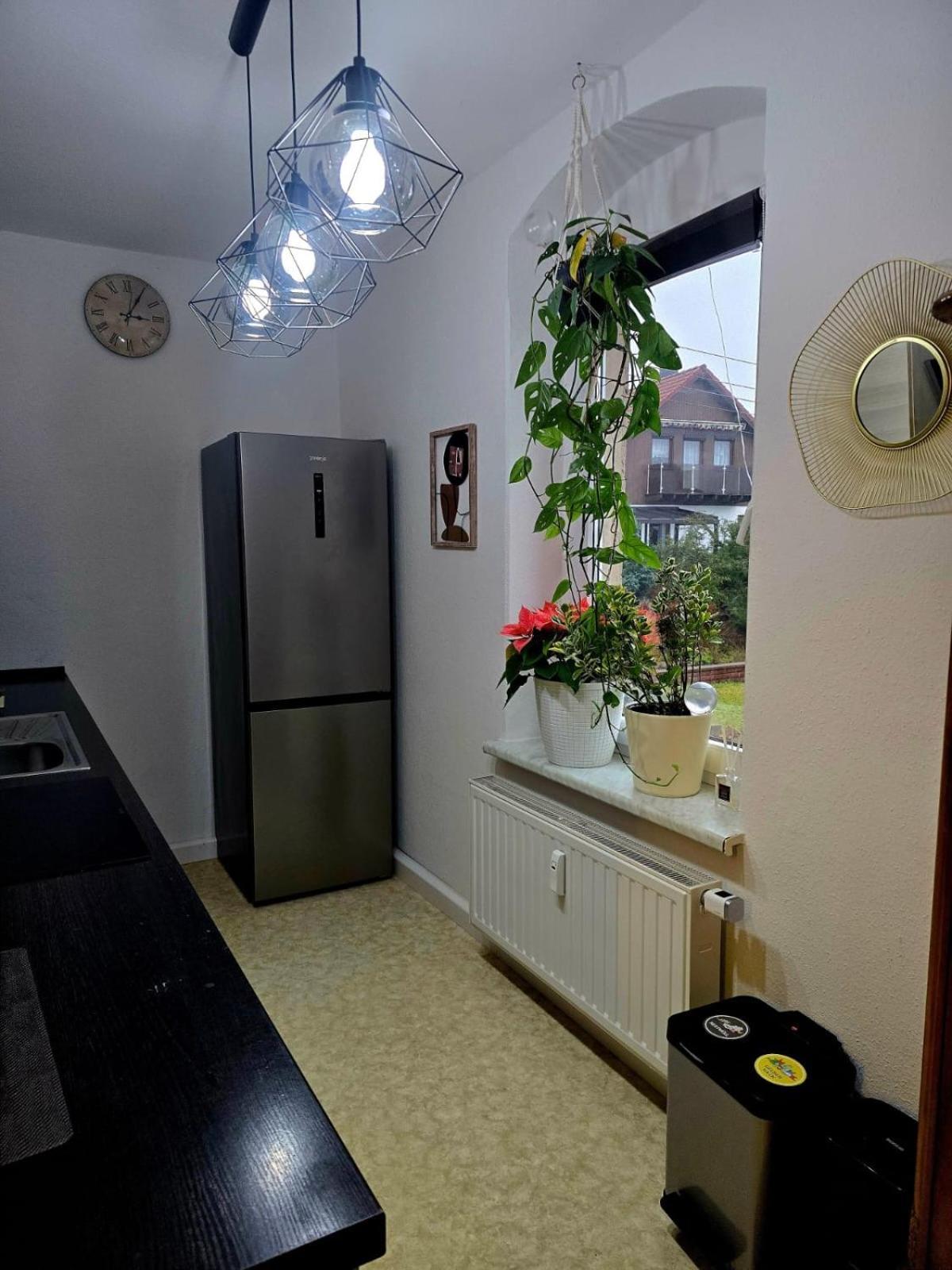 Cozy Pet-Friendly Apartment ไมเซน ภายนอก รูปภาพ